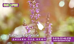 Наше видео